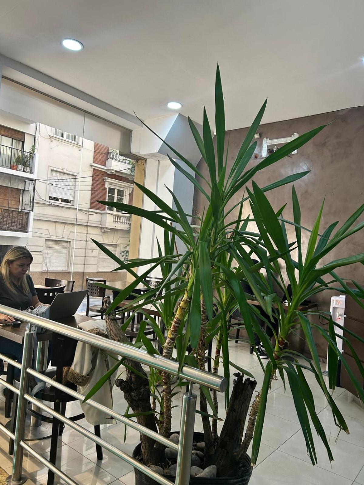 Hostel Che Ba Buenos Aires Exteriér fotografie